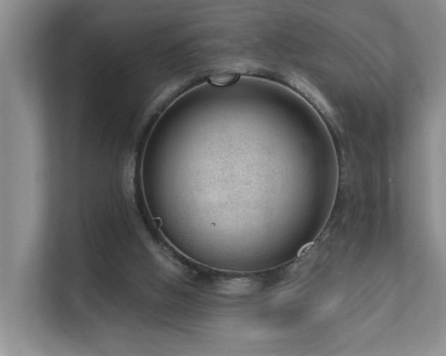 X0000111620058200907171252
