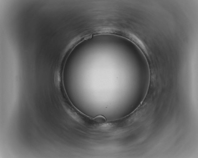 X0000111620059200907171252