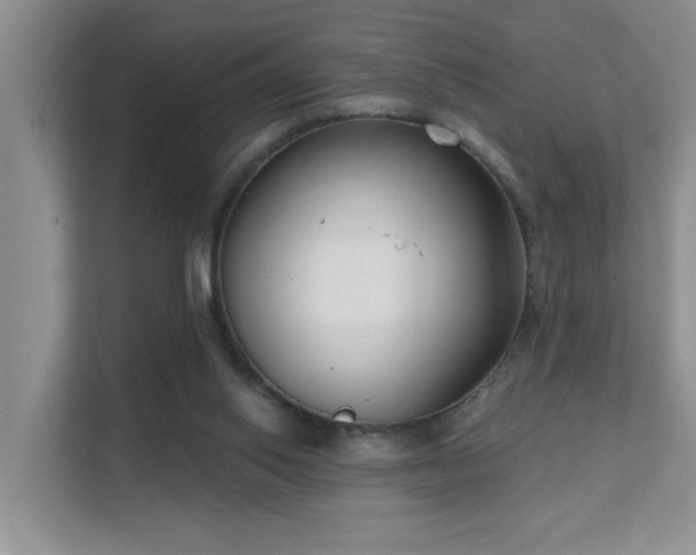 X0000111620062200907171252
