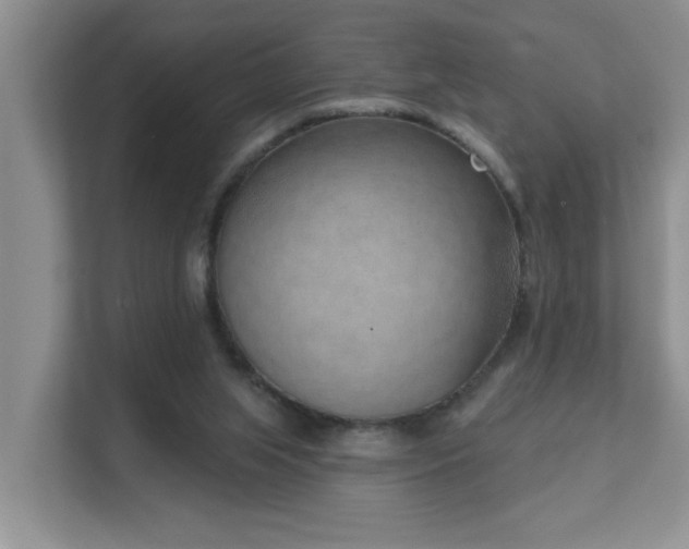 X0000111620063200907171252