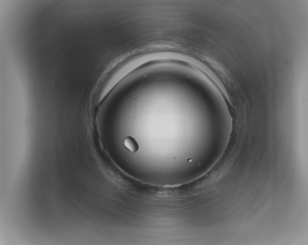 X0000111620064200907171252