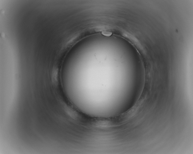 X0000111620066200907171252