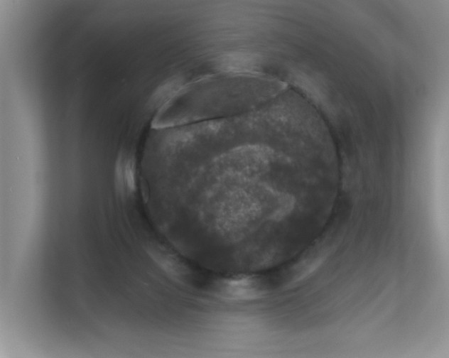 X0000111620068200907171252