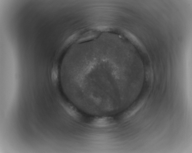X0000111620072200907171252