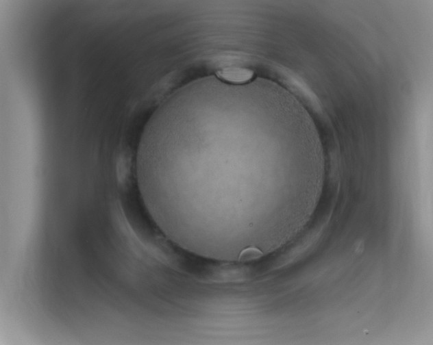 X0000111620073200907171252