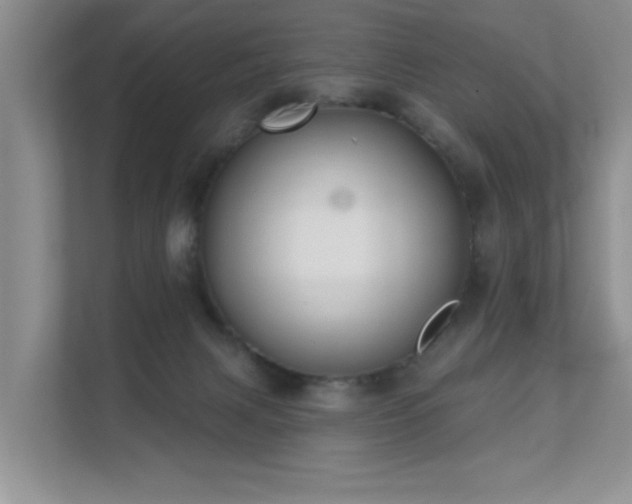 X0000111620079200907171252