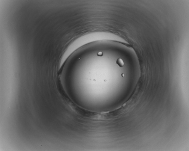 X0000111620080200907171252