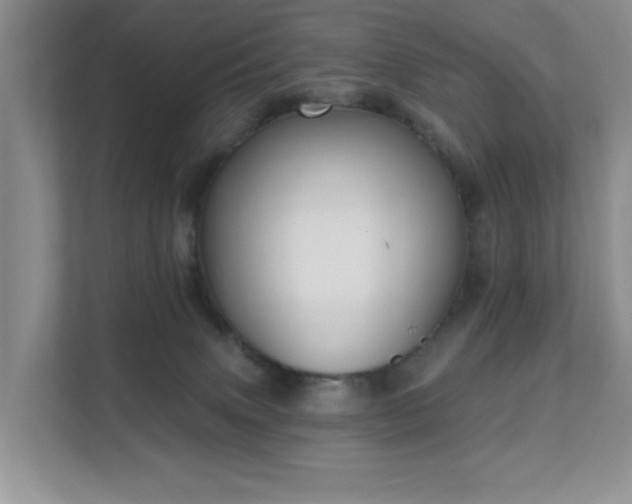 X0000111620083200907171252