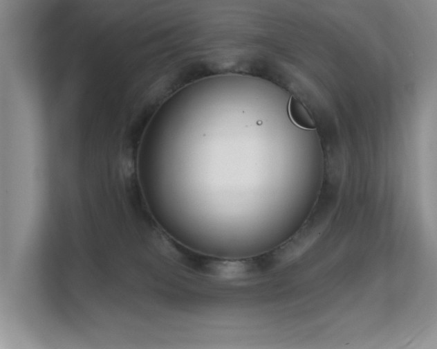 X0000111620085200907171252