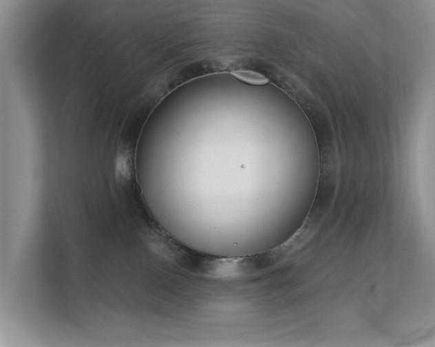 X0000111620090200907171252