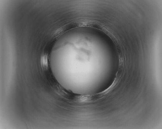 X0000111620094200907171253