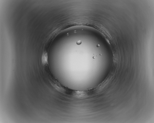 X0000111620095200907171253