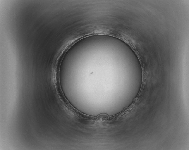 X0000111620098200907171252