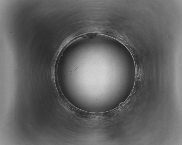 X0000111620099200907171252