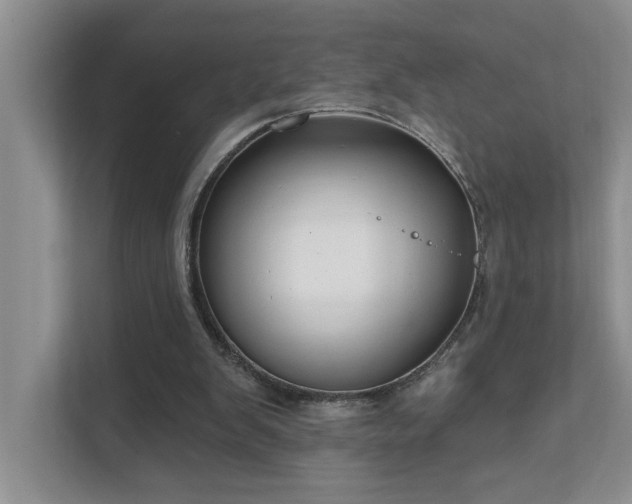 X0000111620103200907171252