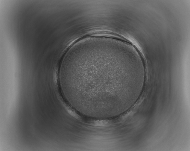 X0000111620105200907171252