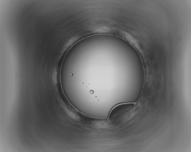 X0000111620106200907171252