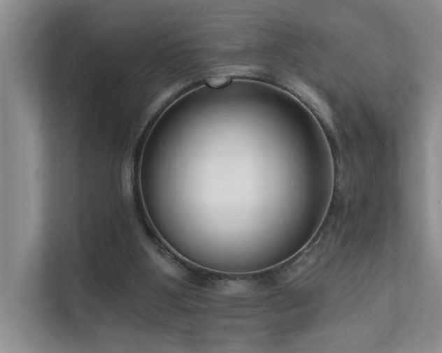 X0000111620107200907171252