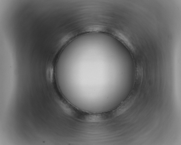 X0000111620110200907171252