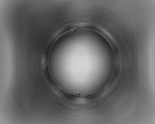 X0000111620119200907171252