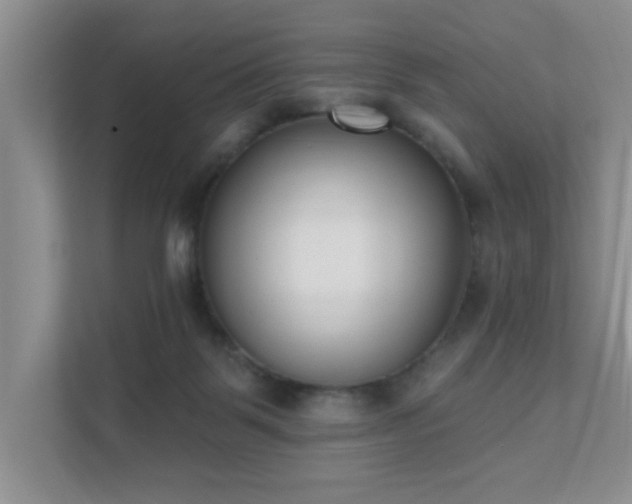 X0000111620123200907171252