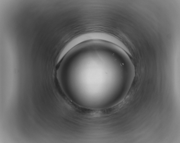 X0000111620124200907171252