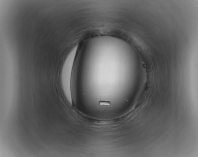 X0000111620129200907171252