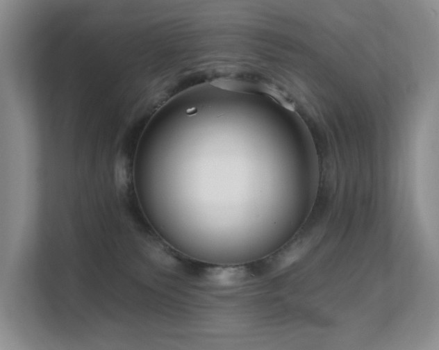 X0000111620135200907171251