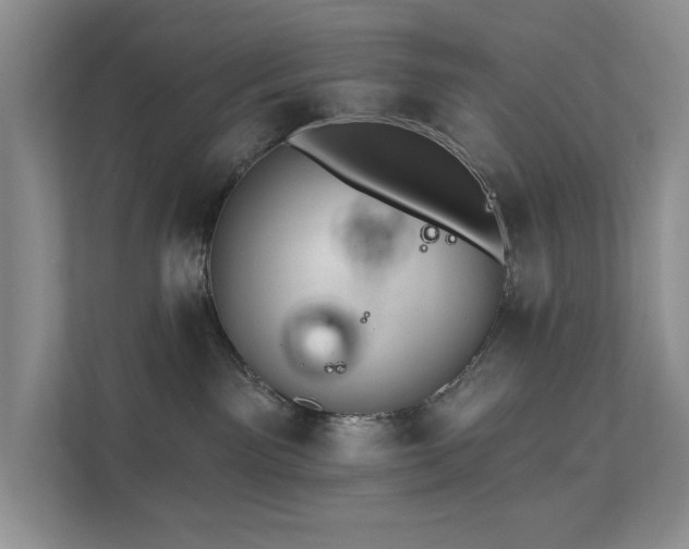 X0000111620141200907171251