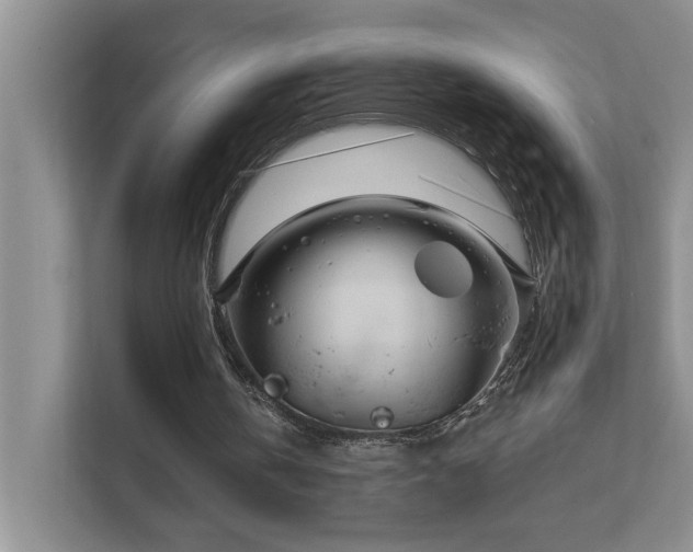 X0000111620146200907171251