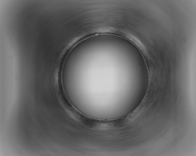 X0000111620155200907171251