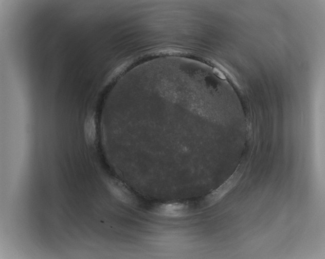 X0000111620158200907171251
