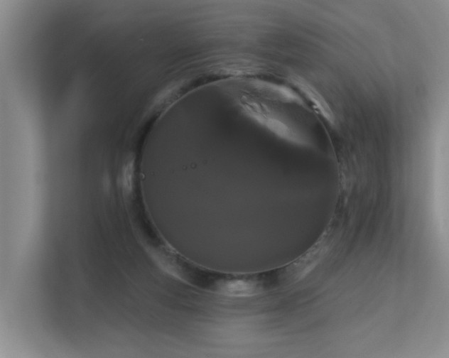 X0000111620163200907171251