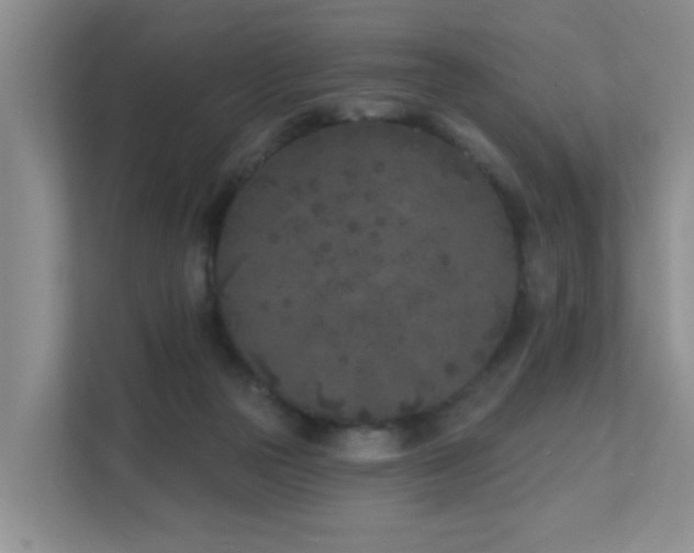 X0000111620169200907171251