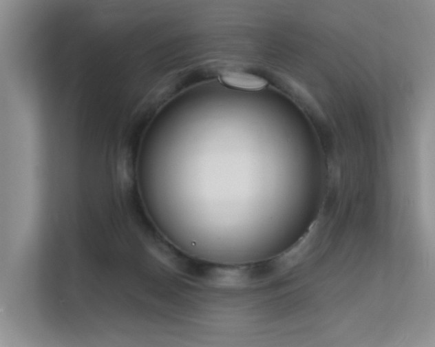 X0000111620170200907171251