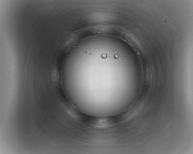 X0000111620173200907171251