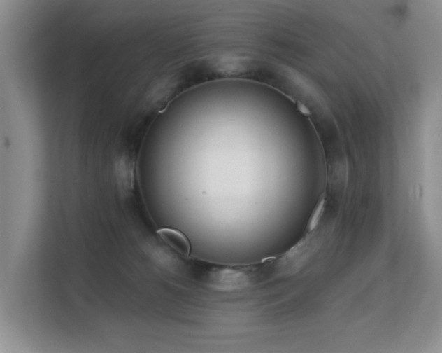 X0000111620180200907171251