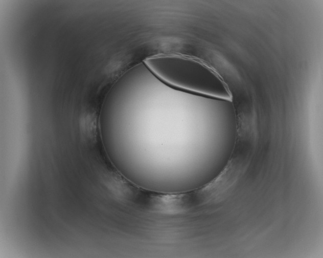 X0000111620184200907171251