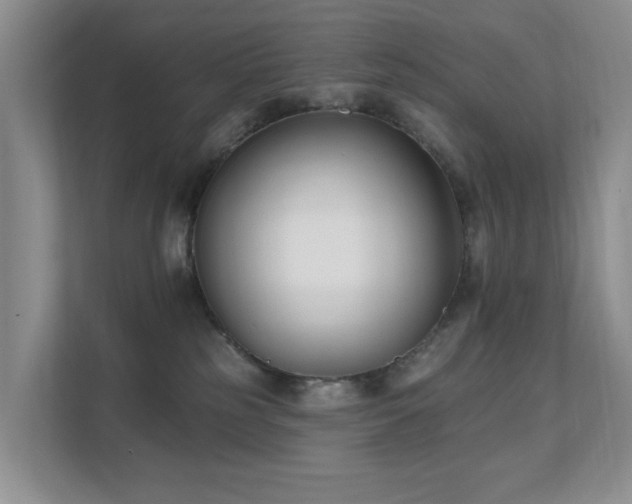 X0000111620185200907171251