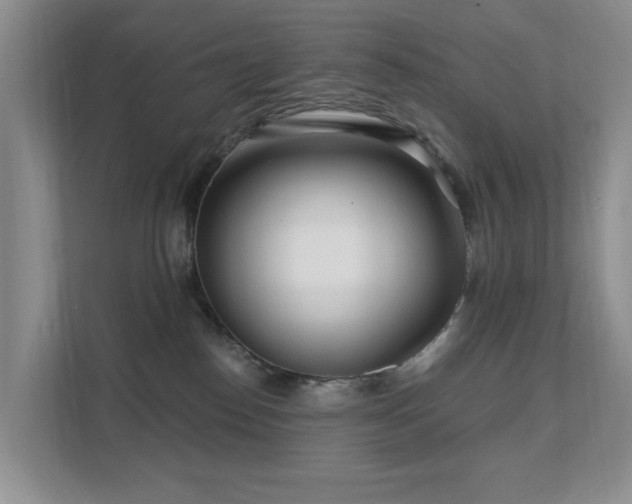 X0000111620186200907171251