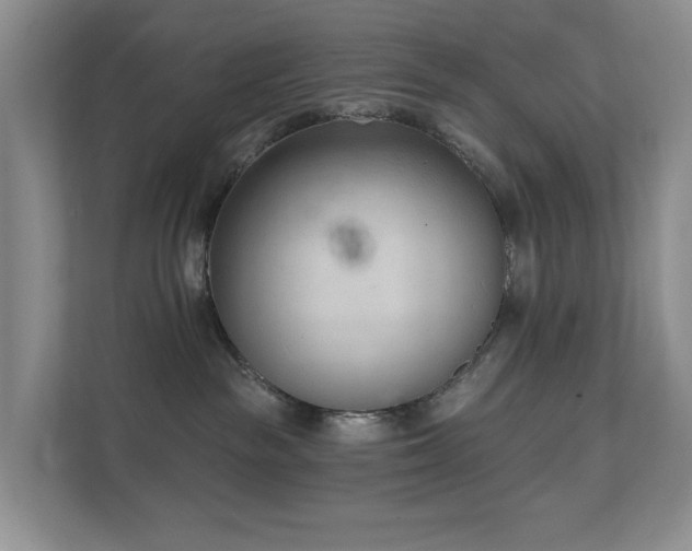 X0000111620189200907171251