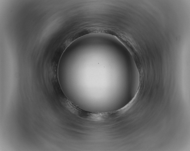 X0000111620190200907171251