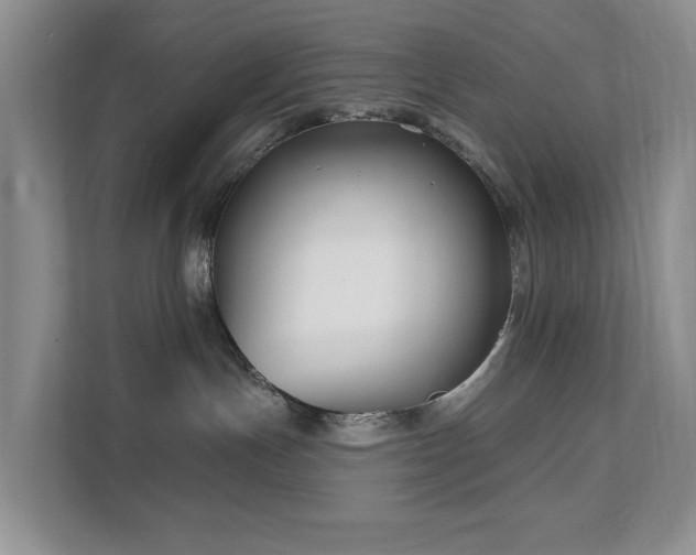 X0000111620191200907171251