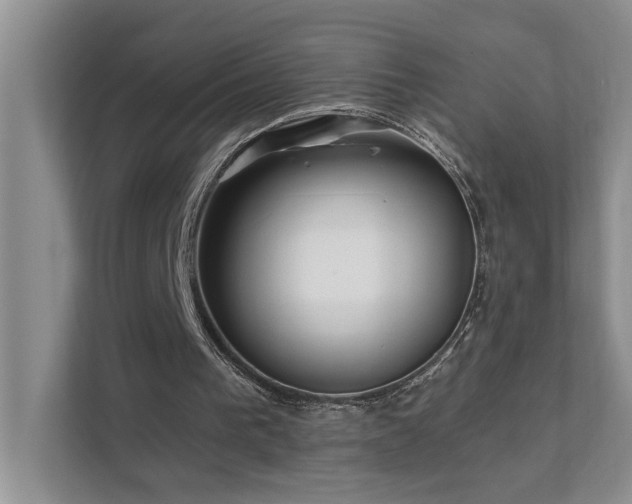 X0000111620193200907171251