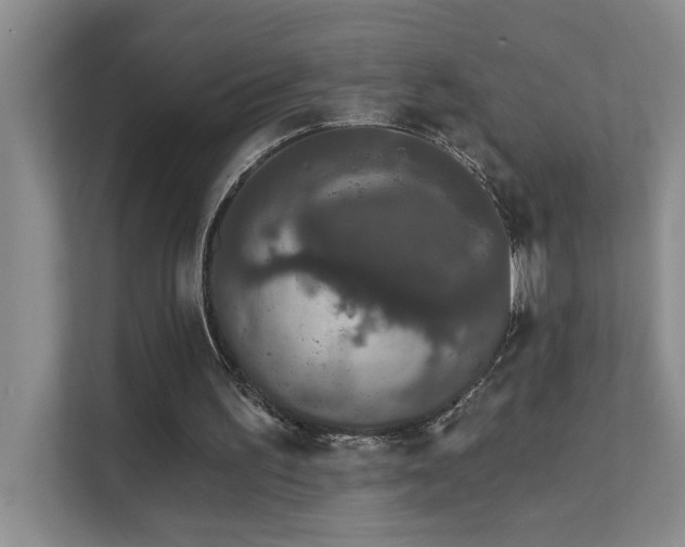 X0000111620195200907171251