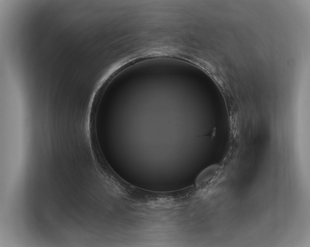 X0000111620196200907171251