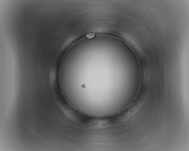 X0000111620208200907171251
