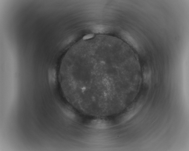 X0000111620211200907171250