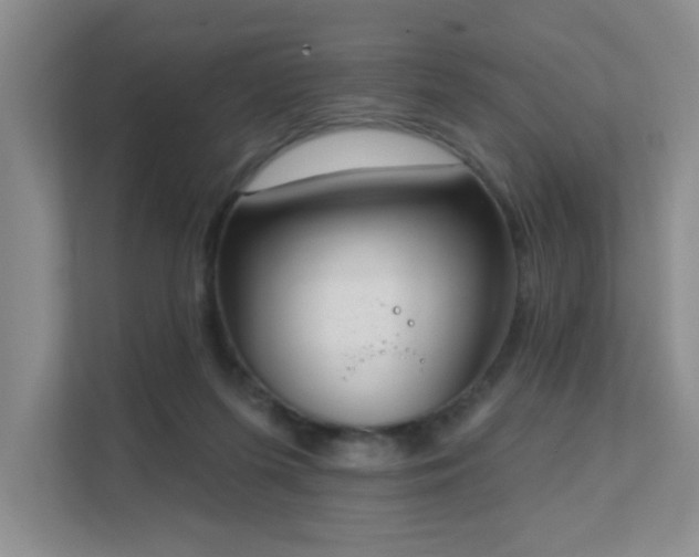 X0000111620215200907171250