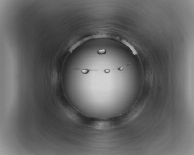 X0000111620220200907171250